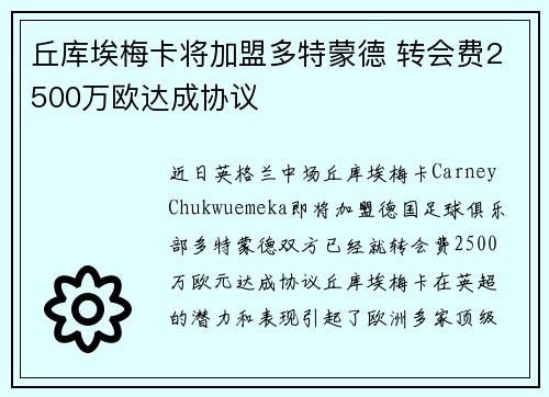 丘库埃梅卡将加盟多特蒙德 转会费2500万欧达成协议